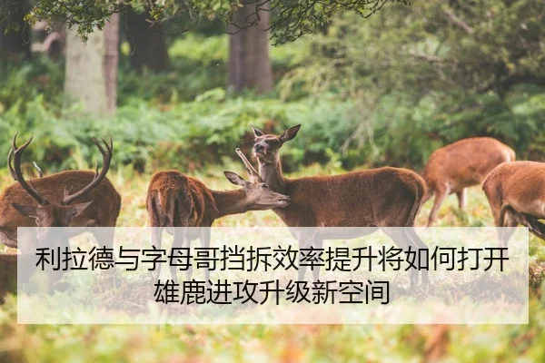 利拉德与字母哥挡拆效率提升将如何打开雄鹿进攻升级新空间