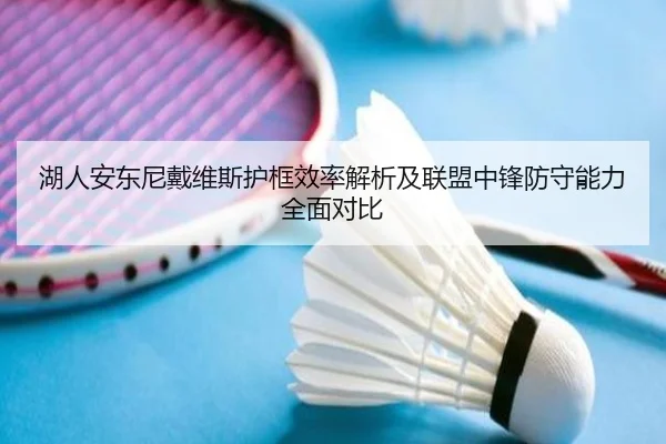 湖人安东尼戴维斯护框效率解析及联盟中锋防守能力全面对比