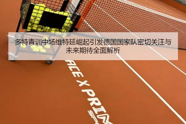 多特青训中场维特延崛起引发德国国家队密切关注与未来期待全面解析