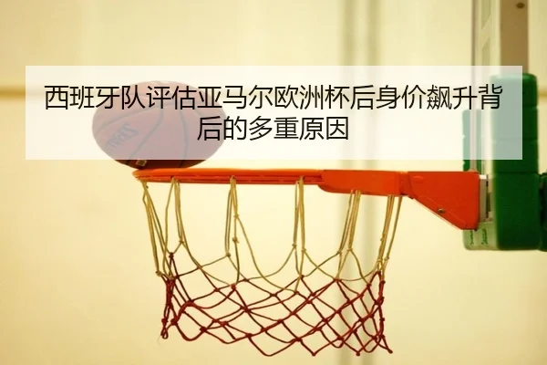 img_1782234718605_478_1_782.jpg